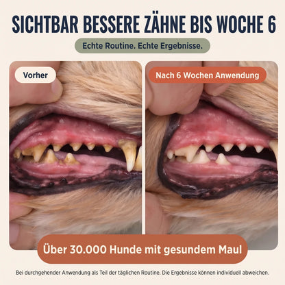 Das klinisch erprobte Daily Dogbiotic™ in hochwertiger Qualität